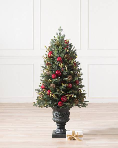 Norway Spruce Holiday Potted - child-1